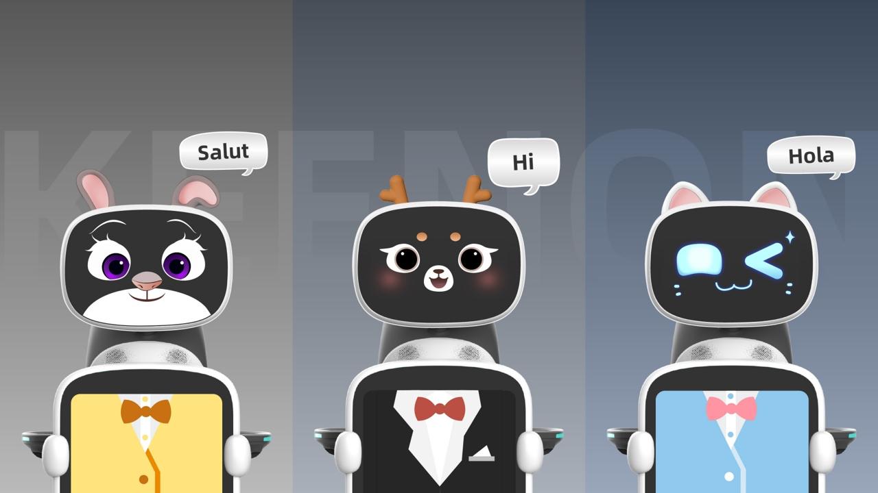 DINERBOT T10 Estilos y Accesorios